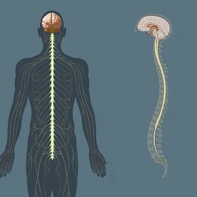 ryllandras's profile picture. Stoic humanist.       
Health care professional 👨🏿‍⚕️   
Public health enthusiast 👨🏿‍⚕️