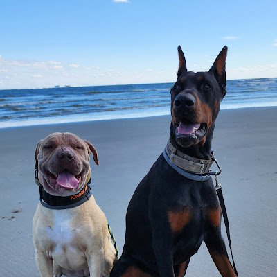 curtis47159's profile picture. 