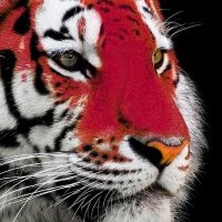 Red Tiger(@red_tiger5) 's Twitter Profile Photo