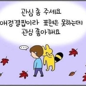 일상 또는 개그짤 올리는 계정 소통함