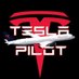 T.e.s.l.a pilot (@mark_pechman_) Twitter profile photo