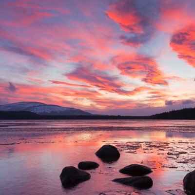 ash_hack10's profile picture. ✌️