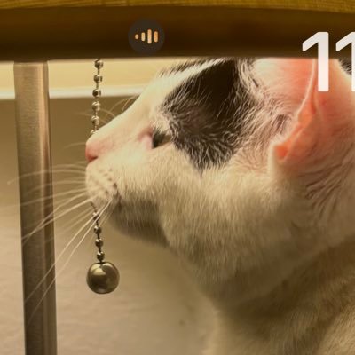 jenpot1002's profile picture. 