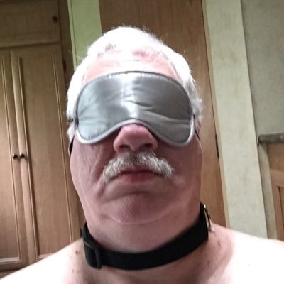 PanSexual. Photographer by avocation. Chubby older (Submissive) WM. Negative on prep. I suck and swallow, like public, a little risk and some kink. No tributes.