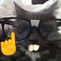 ChugMyNuts (@slickrain_) 's Twitter Profile