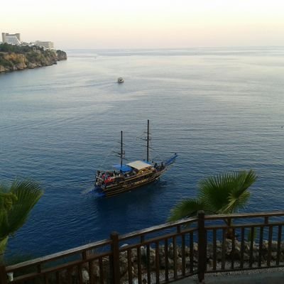 FreeFyn30540's profile picture. 