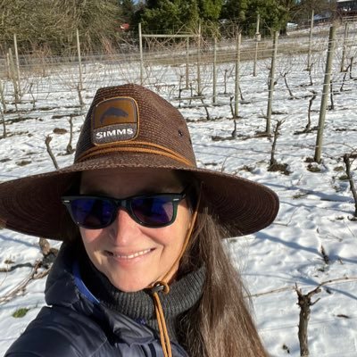 Dry farming in the northern Willamette Valley. I have 4 acres of Pinot noir (777) and Pinot gris grape vines.