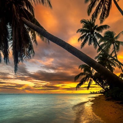 potter_potter16's profile picture. I'm here for respect, not for attention