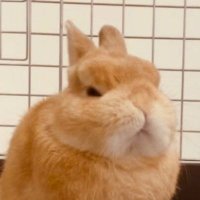 iyo (@iyoiyo922) 's Twitter Profile Photo iyo (@iyoiyo922) 's Twitter Profile Photo
