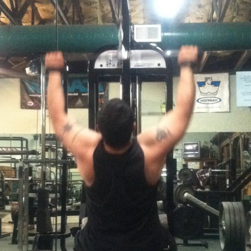 LuisMeza81's profile picture. 