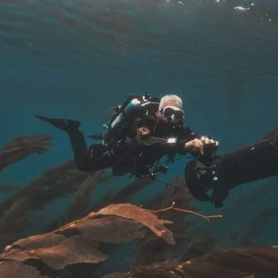 A technical CCR SCUBA diver, a beginner freediver, fitness enthusiast. Can be seen in the gym just about every day. And in the water as often as possible.