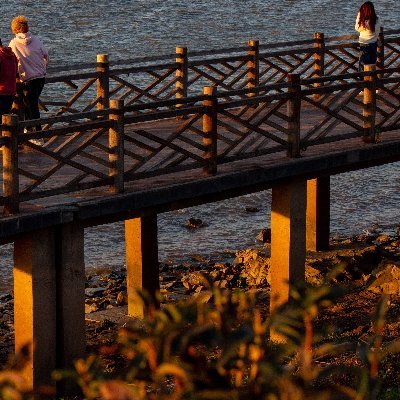 yi_wei60387's profile picture. 加油