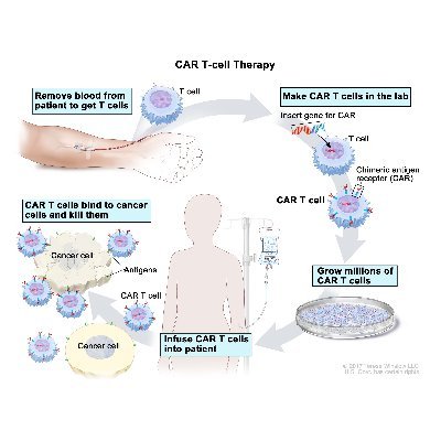 Cancer Immunology