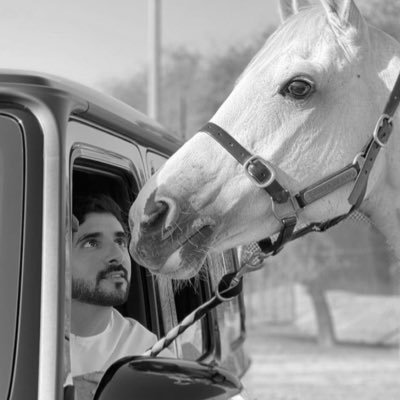 عزتي شموخي 🇦🇪، وحنكة دبلوماسي ، والصمت ذكاء ،خيلي جامح وأعسف المهرة اللي ما أطيع🐎