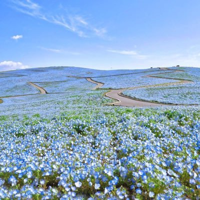 Mia233221's profile picture. 