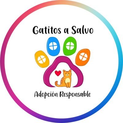 Rescatista independiente.Amo los 😽, hago casting a posibles adoptantes. No pido 💲p/refugio; pero si hay casos difíciles,pedimos $$ directo p/su vet
CERO LUCRO