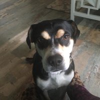 lil guy (@walkdowndallas) 's Twitter Profile Photo lil guy (@walkdowndallas) 's Twitter Profile Photo