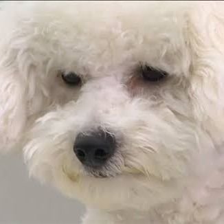 Monsiri77's profile picture. I'm at the point of no return...