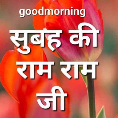 VinodVashishth2's profile picture. proud to be indian