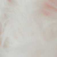 黑麦 (@kuuromuugi) 's Twitter Profile Photo 黑麦 (@kuuromuugi) 's Twitter Profile Photo