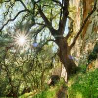 Donna_Sykes_'s profile picture. Devoted Mum, Wife, Daughter, Fulltime Events Coordinator, Passionate about agriculture, love excellent coffee and my family & friends