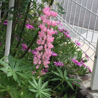 0SVtgLXIS568349's profile picture. 