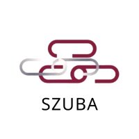 SZUBA (@0xszuba) 's Twitter Profile