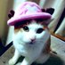 チャコチョッパー【俺最高】 (@zhu6p1rcsafedvg) Twitter profile photo チャコチョッパー【俺最高】 (@zhu6p1rcsafedvg) Twitter profile photo