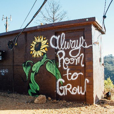 tryBuildOnline's profile picture. Started my journey as 3 D Web Developer| Turning ideas into sleek, functional web apps | Freelance services available!