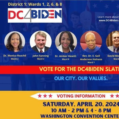 At Large DC Democratic State Committee, Former ANC Commissioner 2E07, School Administrator, Adjunct Professor, 5th Generation Georgetowner, DC Resident for Life