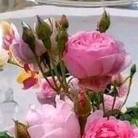 LynnBradley (@lynnbradley924) 's Twitter Profile Photo