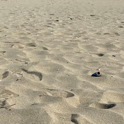 GGonghaggw37084's profile picture. 