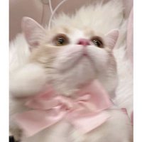 ⭐️ (@nqxk_a) 's Twitter Profile