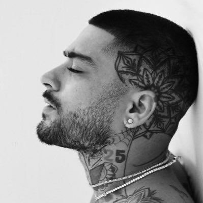 bestzaynsphotos Profile Picture