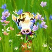 DraSimmer's profile picture. ⚡️25 |She/Her | ISFJ | Bookworm, Geek, Lazy | Simmer since 2003 | Hard Fangirling| Hufflepuff | Aesthetic Collage | ♈️ |⚡️