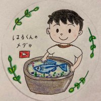 はるくんのメダカ (@harukunnomedaka) 's Twitter Profile Photo