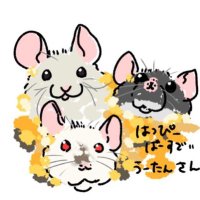 うーたんの生き物用垢(@uuutaaan00) 's Twitter Profile Photo