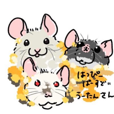 ◯うーたんさま専用出品です。 うーたん様専用 - メルカリ