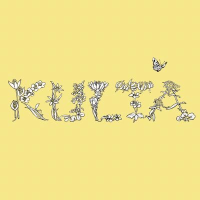 2024年5月1日リリース、フィンランドの民族楽器カンテレ奏者あらひろこの新アルバム「KULTA」のお知らせアカウントです！