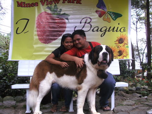 khrisalba's profile picture. 