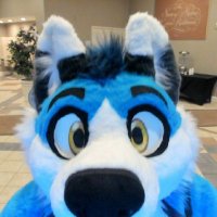Blu 🔜 Furry Cruise!(@TheBluHusky) 's Twitter Profile Photo