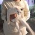 . (@bapaknyaanyot) Twitter profile photo . (@bapaknyaanyot) Twitter profile photo