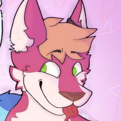 Zaikoooo Profile