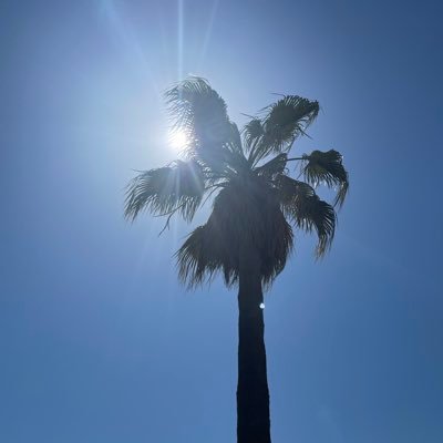 jooryaljb's profile picture. ﴿ رَبِّ اغْفِرْ لِي وَلِوَالِدَيَّ ﴾