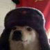 Mundo horrible (@mundo_horrible) Twitter profile photo Mundo horrible (@mundo_horrible) Twitter profile photo