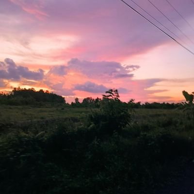 DngNgn81132899's profile picture. 