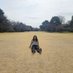 Charis (@selhyy) Twitter profile photo Charis (@selhyy) Twitter profile photo