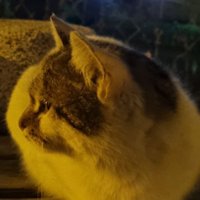 🐥 (@ekmukk) 's Twitter Profile