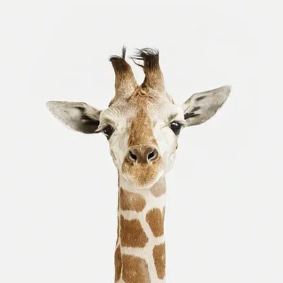 Kmegamind01's profile picture. 