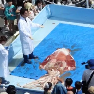 Directer of Oki Marine Biological Station, Shimane Univ.
隠岐でゲノムやってます。
タコイカ本始めました
https://t.co/0ZC91Toul4